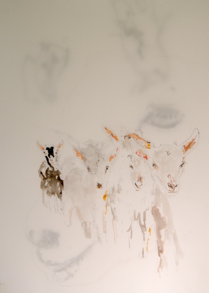 Pencil drawing, goat portrait